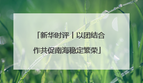 新华时评丨以团结合作共促南海稳定繁荣